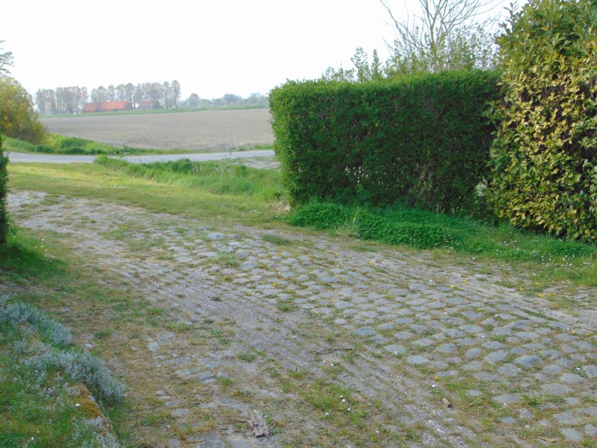 Polderhuis voor 8-10 personen aan zee Nieuwvliet Buitenkant foto